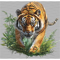 Animal Integration-DW 1802